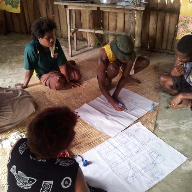 On the ground surveying in PNG